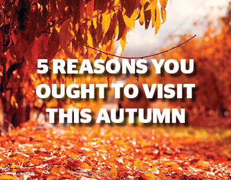 5 reasons you ought to visit this autumn