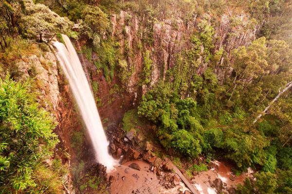 Queen Mary Falls DSC_7881