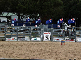 Stanton Rodeo Arena Stanthorpe Rodeo_1 - Southern Downs & Granite Belt