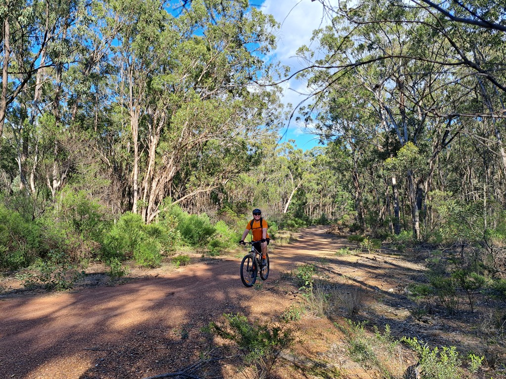 Durikai State Forest MTB Mountain biker riding in Durikai State Forest