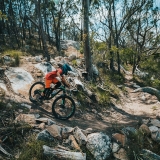 Photograph of mountain biker riding down a trail at Mount Marlay