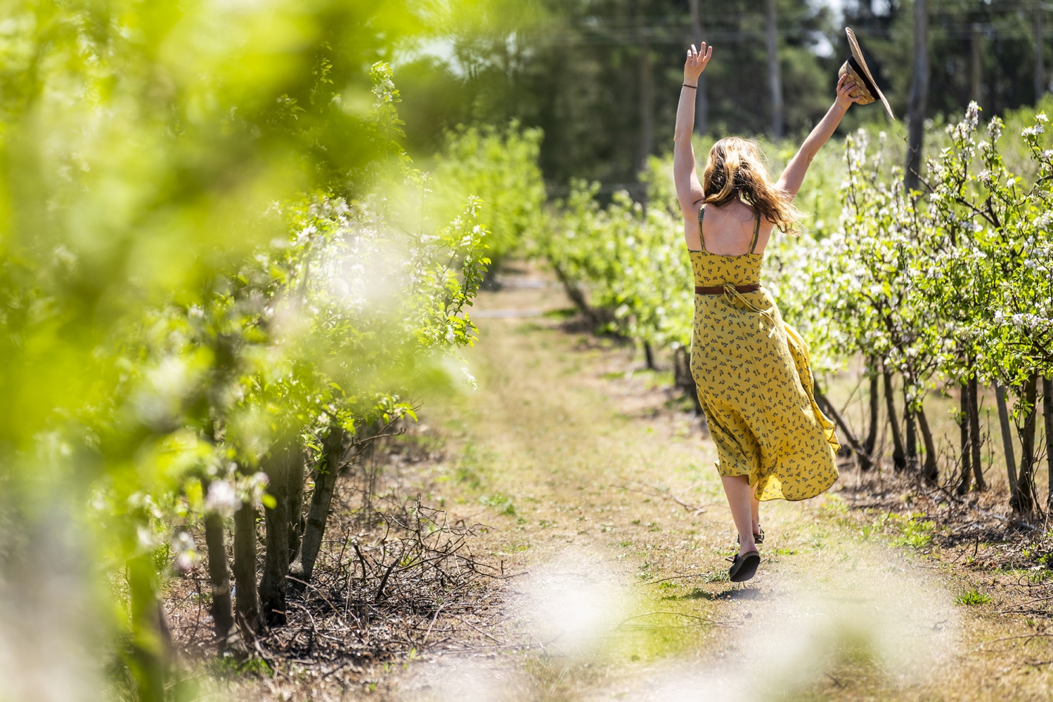 girl dancing through Apple blossoms at Suttons Juice Factory