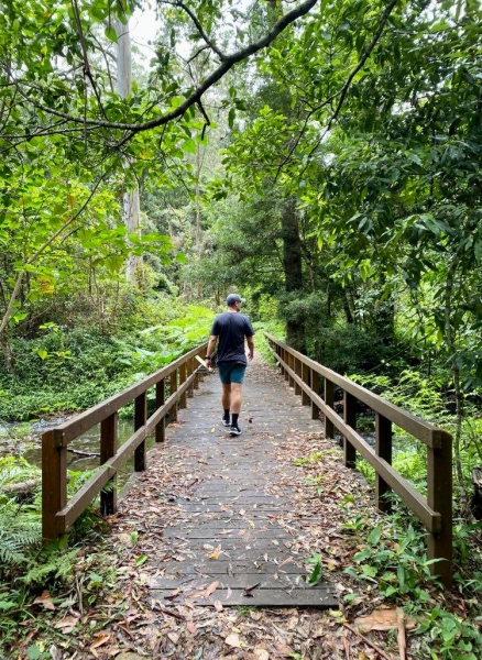Man walking on a bridge surrounded by green nature