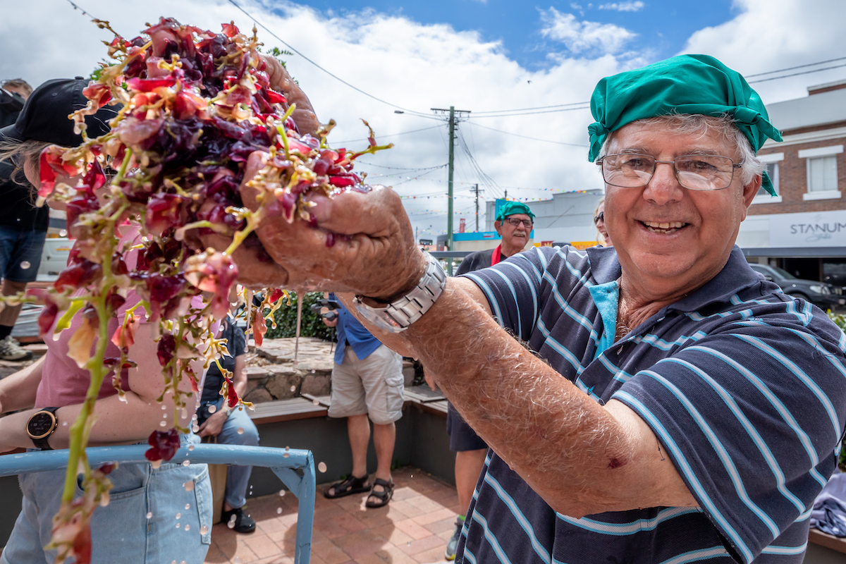 Local Vigneron Sam Costanzo Organising Grape Crush Credit Leeroy Todd local-vigneron-sam-costanzo-organising-grape-crush-credit-leeroy-todd