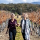 QLD's Wine Country Featured Image