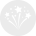 Cold Country Icon Winter Festivities