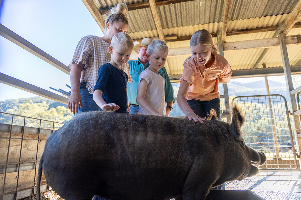 Farmstay-style camping for families at Bestbrook Mountain Resort