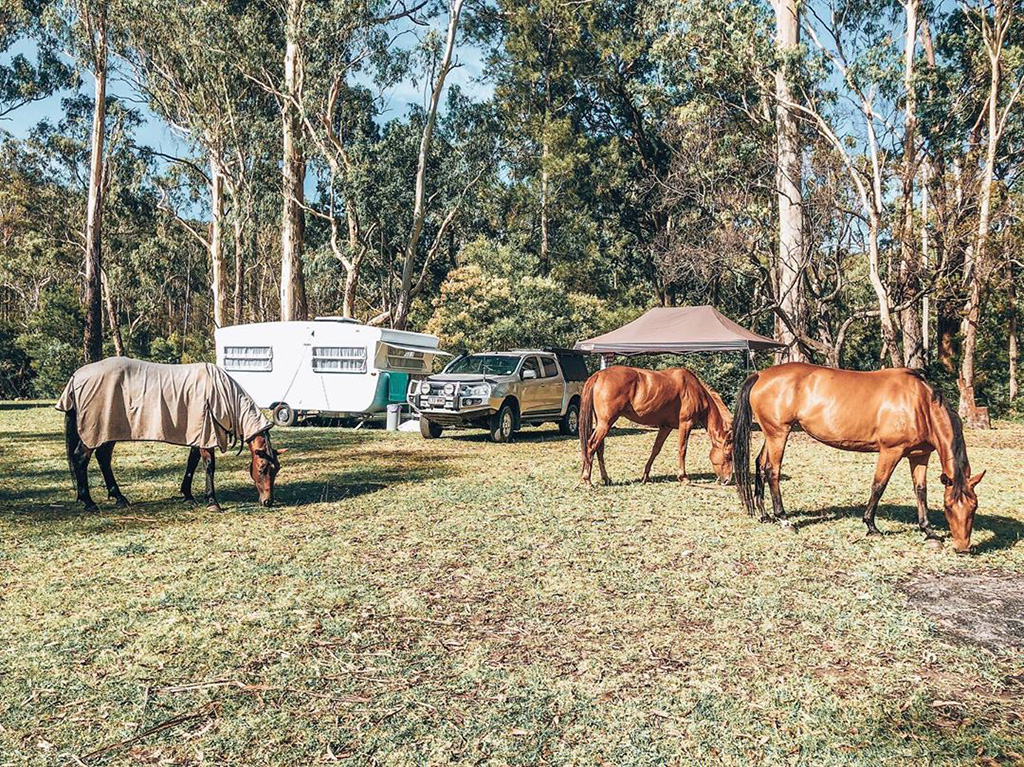 Caravanning at Gordon Country - Image credit @caravanof_ourdreams